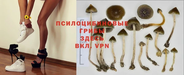 индика Алексеевка