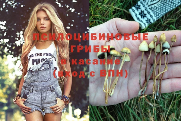индика Алексеевка
