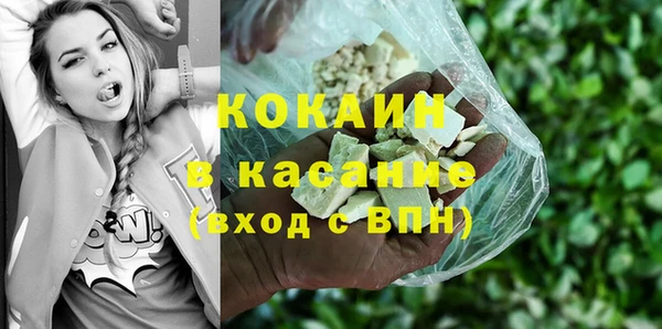 индика Алексеевка