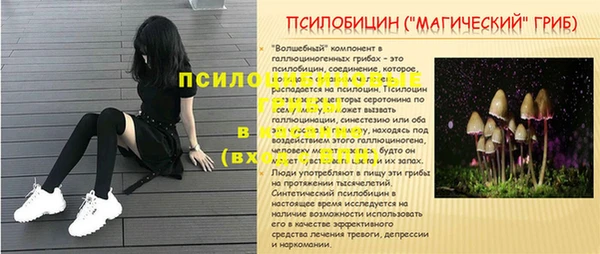 марки nbome Аркадак