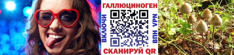 Псилоцибиновые грибы Cubensis  Искитим 